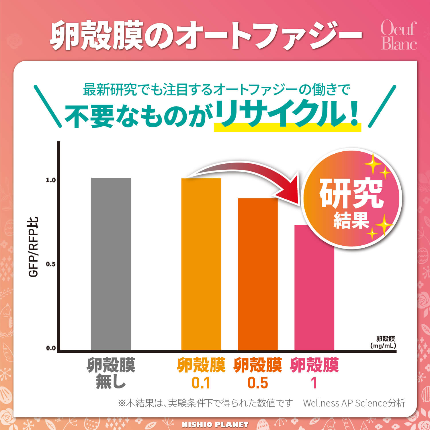 『ウフブラン』 60粒入り