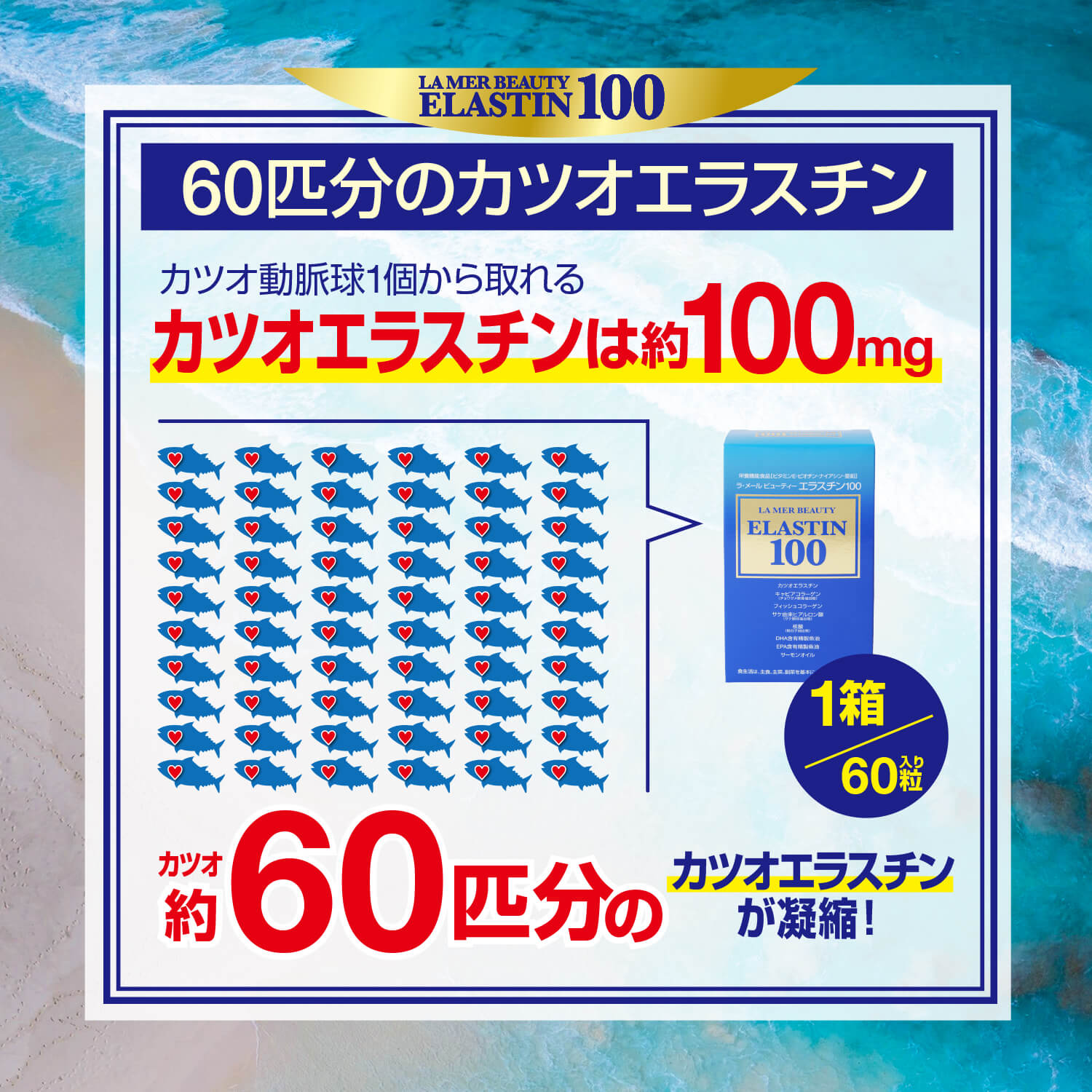 エラスチン100　60粒入り