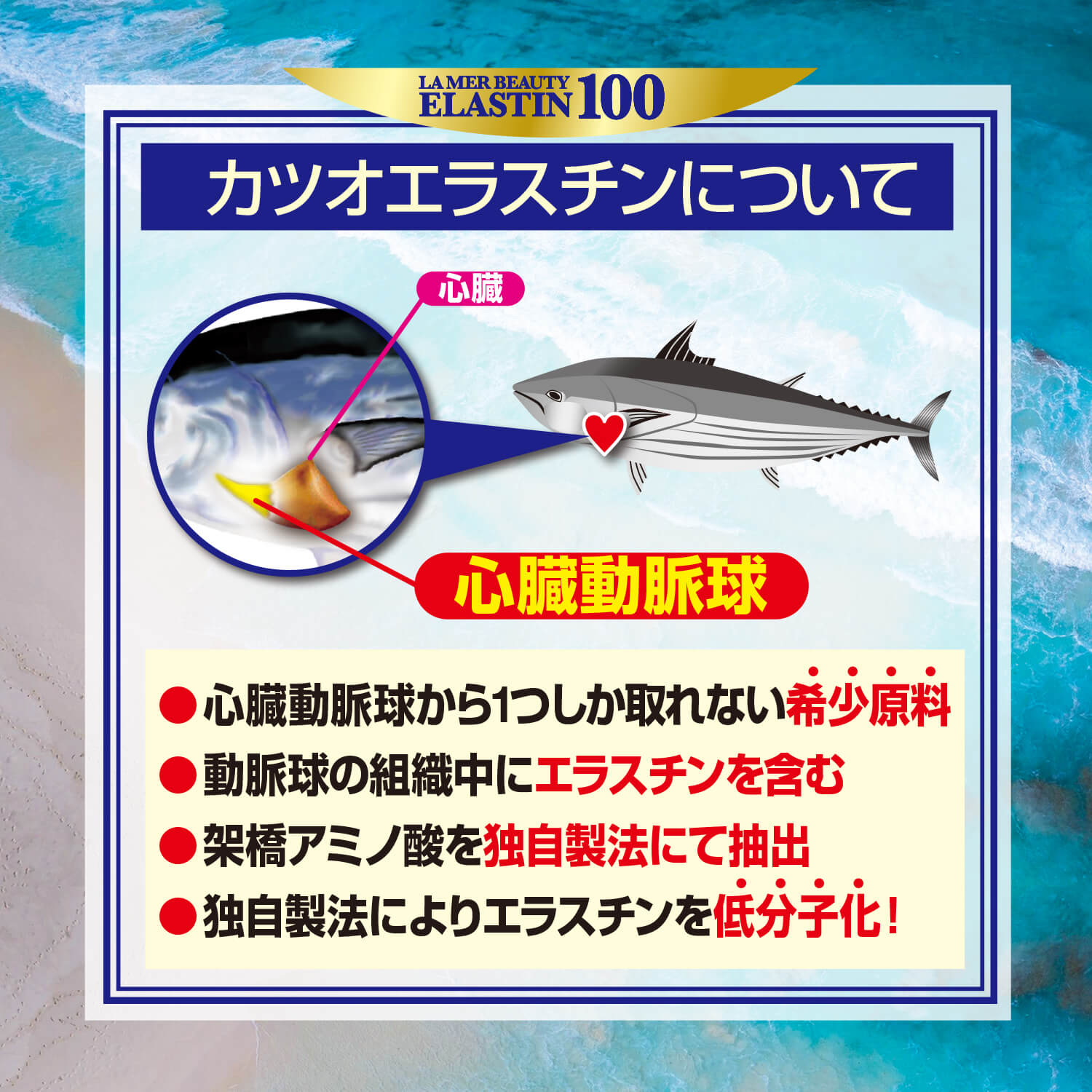 エラスチン100　60粒入り